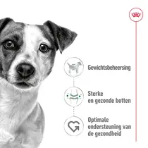 Royal Canin mini adult 8 kg + 1kg gratis - afbeelding 5
