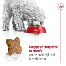 Royal Canin mini adult 8 kg + 1kg gratis - afbeelding 7