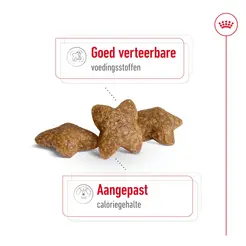 Royal Canin mini adult 8kg + 1kg gratis - afbeelding 6