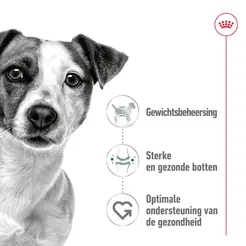 Royal Canin mini adult 8kg + 1kg gratis bonusbag - afbeelding 5