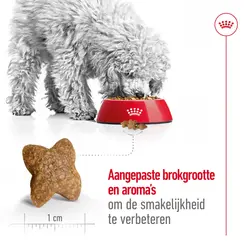 Royal Canin mini adult 8kg + 1kg gratis bonusbag - afbeelding 7
