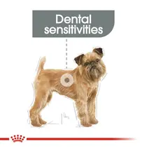 Royal Canin mini dental 3 kg Hondenvoer - afbeelding 4