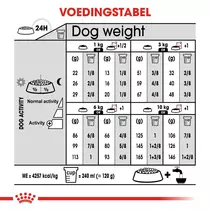 Royal Canin mini digestive care 3 kg Hondenvoer - afbeelding 3