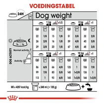Royal Canin mini digestive care 8 kg Hondenvoer - afbeelding 4