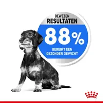 Royal Canin mini light weight care 8 kg Hondenvoer - afbeelding 3