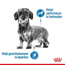 Royal Canin mini light weight care 8 kg Hondenvoer - afbeelding 4