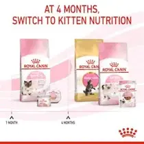 Royal Canin mother & babycat 10 kg Kattenvoer - afbeelding 4