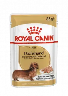 Royal canin mp dachshund adult gravy 12x85 gram Hondenvoer - afbeelding 1