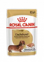 Royal canin mp dachshund adult gravy 12x85 gram Hondenvoer - afbeelding 1