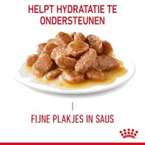 Royal Canin hair & skin care in gravy 12x85 gr Kattenvoer - afbeelding 5