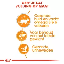 Royal Canin mp intense beauty in gravy 12x85 gr Kattenvoer - afbeelding 4
