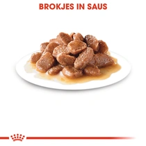 Royal Canin mp intense beauty in gravy 12x85 gr Kattenvoer - afbeelding 2