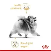 Royal canin mp pomeranian adult loaf 12x85 gram Hondenvoer - afbeelding 3