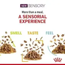 Royal Canin mp sensory multipack in gravy 12x85 gr Kattenvoer - afbeelding 2