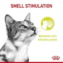 Royal Canin mp sensory multipack in gravy 12x85 gr Kattenvoer - afbeelding 4
