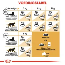 Royal Canin persian 10 kg Kattenvoer - afbeelding 5