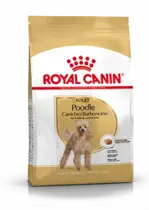 Royal Canin poodle adult 1,5 kg Hondenvoer - afbeelding 1