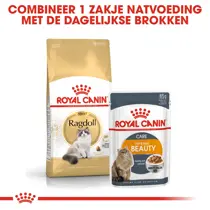 Royal Canin ragdoll 10 kg Kattenvoer - afbeelding 4