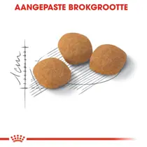 Royal Canin savour exigent feline 10 kg + 2 kg gratis bonusbag - afbeelding 5