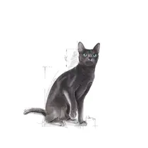 Royal Canin sterilised 37 regular 10 kg + 2  kg gratis bonusbag - afbeelding 4