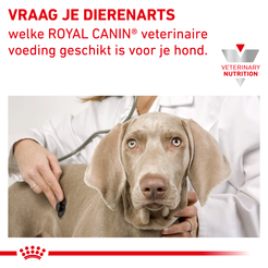 Royal canin veterinary diet anallergenic small dog 1,5 kg Hondenvoer - afbeelding 7