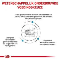 Royal canin veterinary diet anallergenic small dog 3 kg Hondenvoer - afbeelding 2