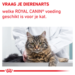 Royal canin veterinary diet calm 2 kg Kattenvoer - afbeelding 8