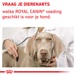 Royal canin veterinary diet dental special small 1,5 kg hondenvoer - afbeelding 7