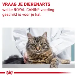 Royal canin veterinary diet gastro intesinal fibre response 2 kg Kattenvoer - afbeelding 8