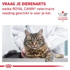 Royal canin veterinary diet gastro intestinal 400gr. Kattenvoer - afbeelding 2