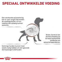 Royal canin veterinary diet gastro intestinal high fibre 2 kg Hondenvoer - afbeelding 2