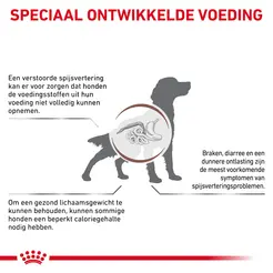 Royal canin veterinary diet gastro intestinal moderate calorie 2 kg hondenvoer - afbeelding 2