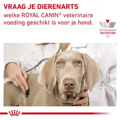 Royal canin veterinary diet gastro intestinal moderate calorie 2 kg hondenvoer - afbeelding 7