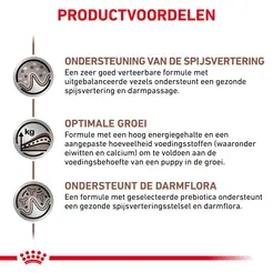 Royal canin veterinary diet gastro intestinal puppy 10 kg hondenvoer - afbeelding 4