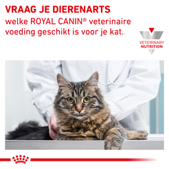 Royal canin veterinary diet hypoallergenic 4,5 kg Kattenvoer - afbeelding 8