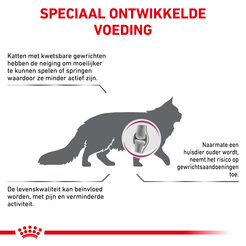 Royal canin veterinary diet mobility 4 kg Kattenvoer - afbeelding 2