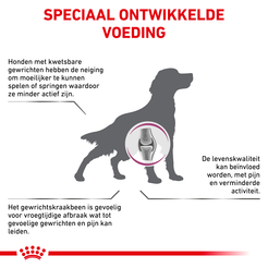 Royal canin veterinary diet mobility support 12 kg Hondenvoer - afbeelding 2