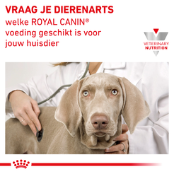 Royal canin veterinary diet recovery 195 gram blikvoer hond en kat - afbeelding 5