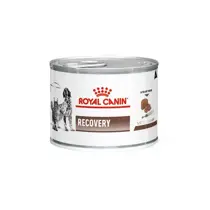 Royal canin veterinary diet recovery 195 gram blikvoer hond en kat