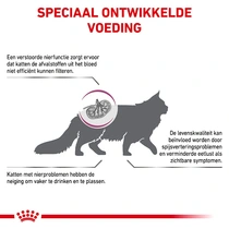 Royal canin veterinary diet renal special 4 kg Kattenvoer - afbeelding 2