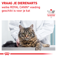 Royal canin veterinary diet satiety weight management 6 kg Kattenvoer - afbeelding 9