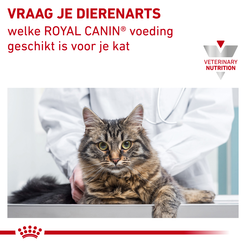 Royal canin veterinary diet urinary s/o mp moderate calorie 12x85 gram Kattenvoe - afbeelding 8