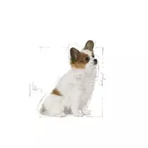 Royal Canin x-small puppy 500 gram Hondenvoer - afbeelding 3