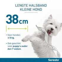 Seresto Band Hond tot 8kg Vlooien- en Tekenband - afbeelding 3