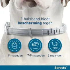 Seresto band hond vanaf 8 kg Vlooien- en Tekenband 2 stuks - afbeelding 2