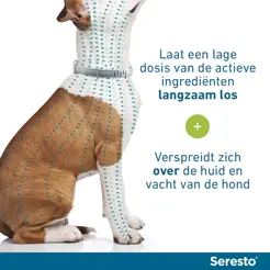 Seresto band hond vanaf 8 kg Vlooien- en Tekenband 2 stuks - afbeelding 5