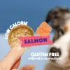 Smoofl dog chips zalm 50 gram - afbeelding 2