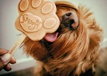 Smoofl ice cream mix for dogs pindakaas hondenijsjes SALE! - afbeelding 4