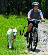 Springer fietsbeugel voor de hond - afbeelding 3
