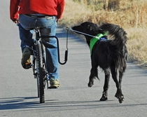 Springer fietsbeugel voor de hond - afbeelding 4